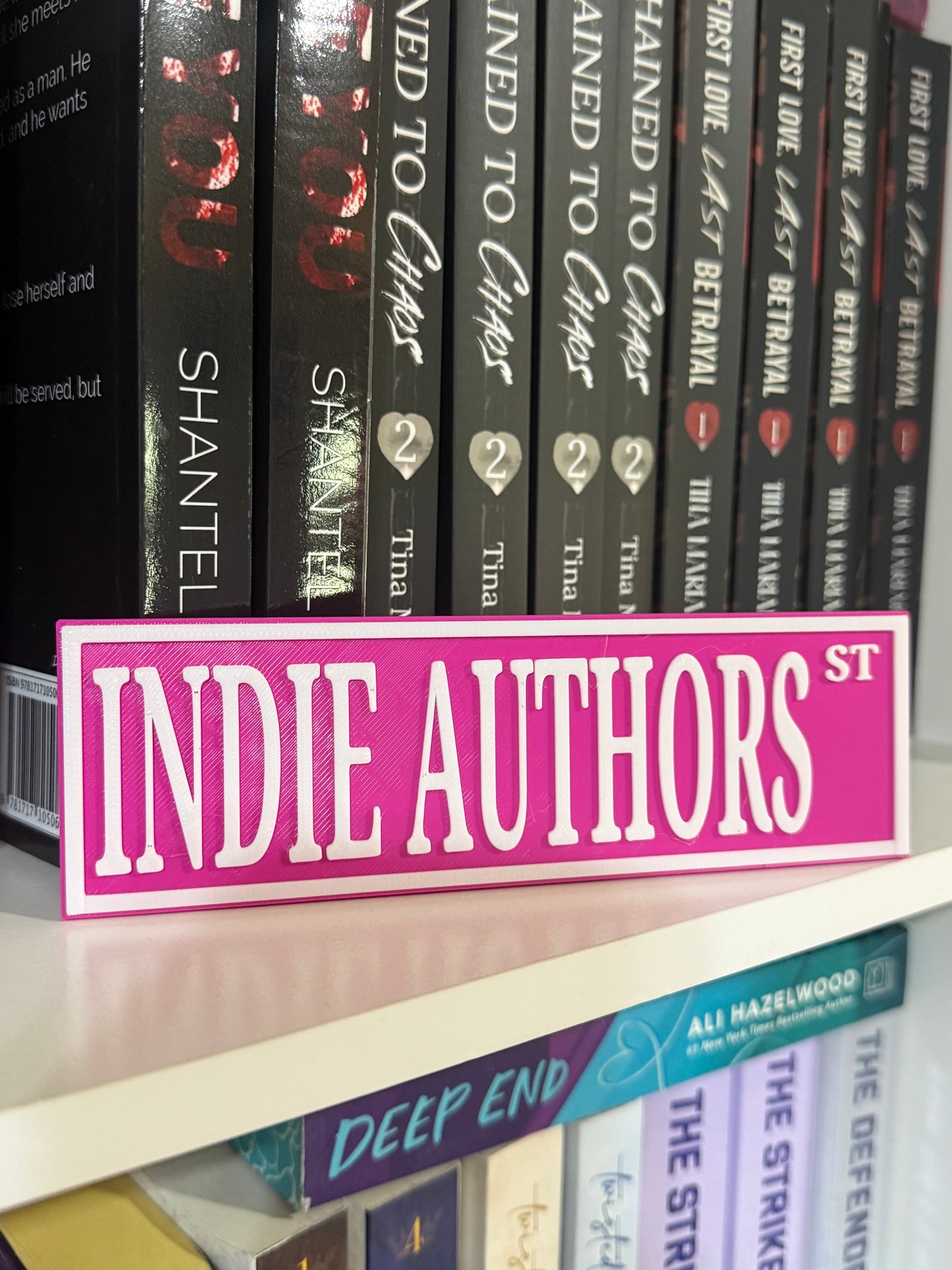 Indie authors Bookshelf Decor