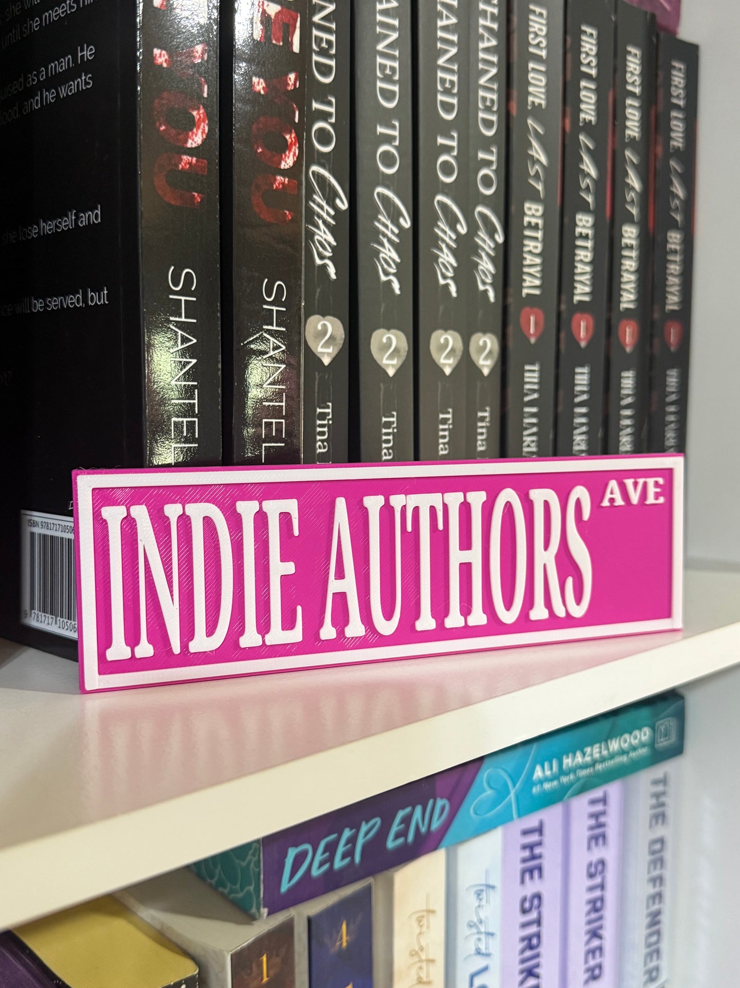Indie authors Bookshelf Decor