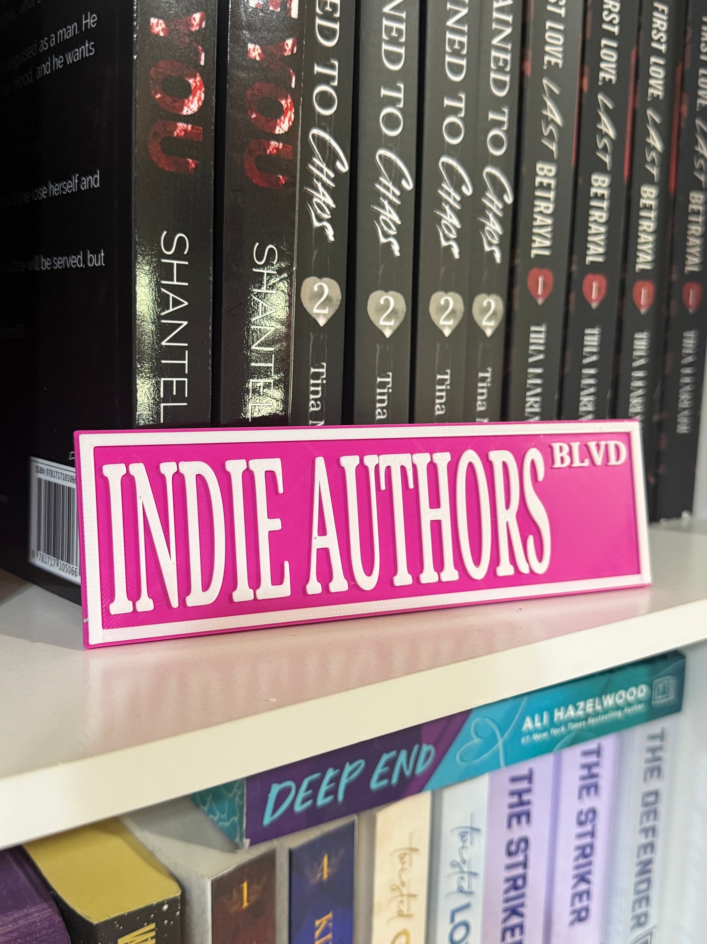 Indie authors Bookshelf Decor