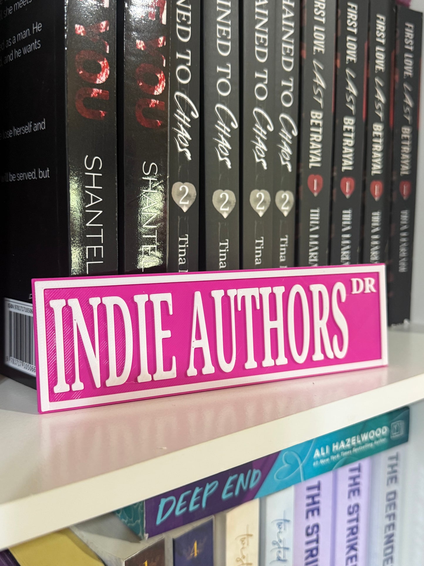 Indie authors Bookshelf Decor
